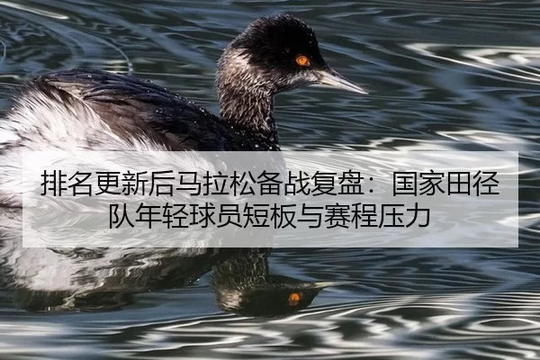 pai-ming-geng-xin-hou-ma-la-song-bei-zhan-fu-pan-guo-jia-tian-jing-dui-nian-qing-qiu-yuan-duan-ban-yu-sai-cheng-ya-li-2-602.jpg